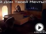 Умный Дом GrandSmartHome Хомяки Атакуют! (Выпуск №1)