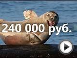 Умный дом своими руками недорого